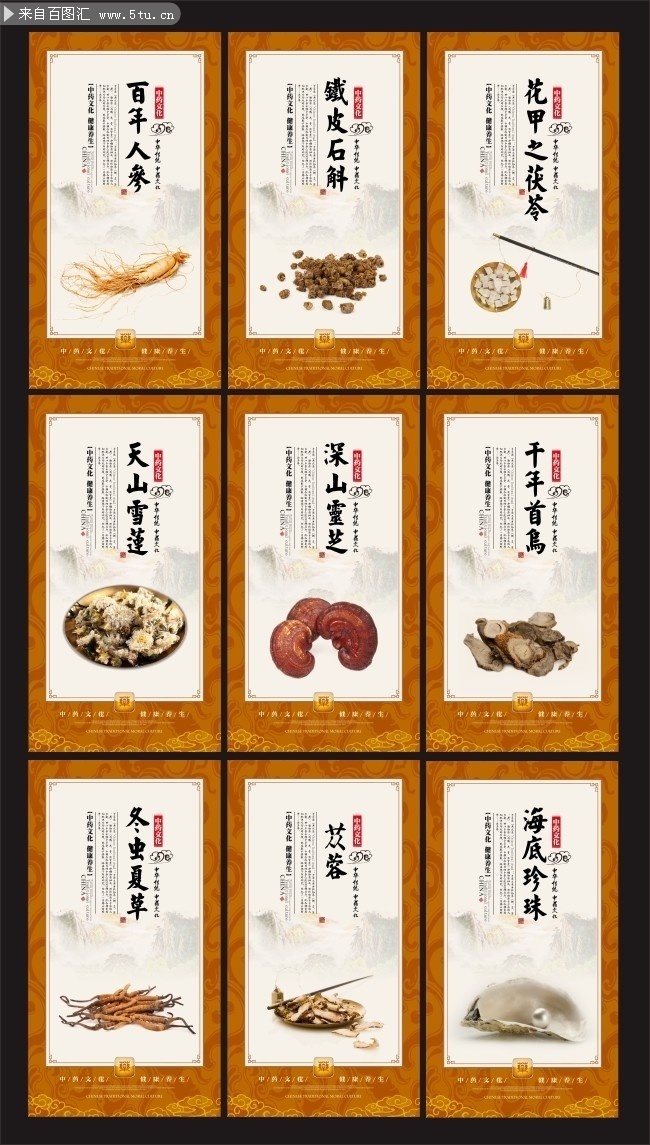 中药文化广告视频下载_(中药文化广告视频下载软件)